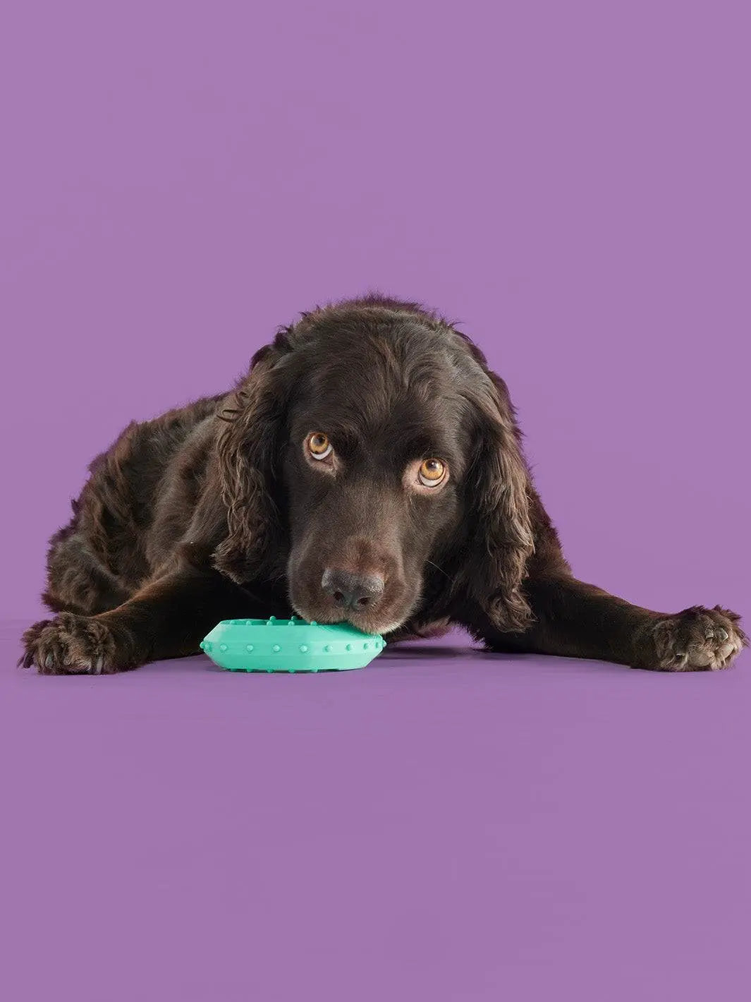 Yomp Chillchew Freezable Dog Toy – Cooling Chew Toy for Soft and Medium Chewers, Frozen Treat and Teething Toy – Made of Pet-Safe, Non-Toxic Silicone